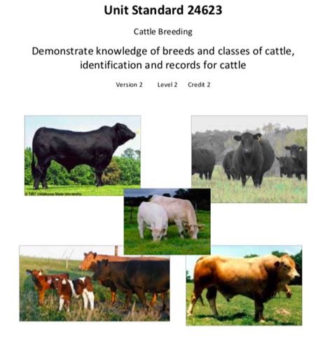 Cattle Breeds Agriculture