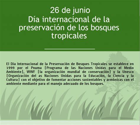 Im Genes Para Compartir Del D A Internacional De Los Bosques