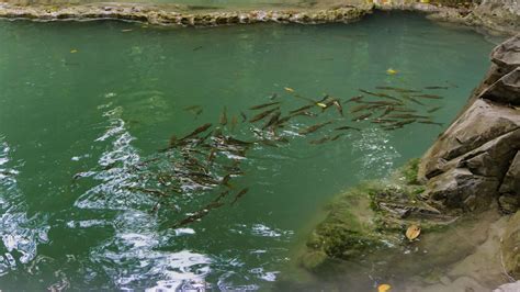 Cascades Parc National Erawan Kanchanaburi My Little Thailand