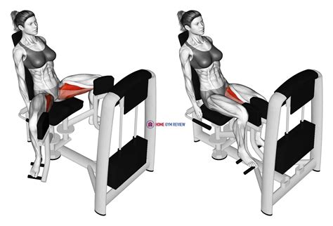Lever Seated Hip Adduction Female Home Gym Review