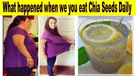 What Happens When You Eat Chia Seeds Daily Chia Seed Drinks For Weight Loss Curb Hunger 100