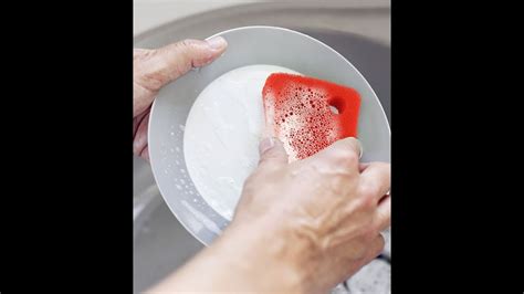 Cleanest Kitchen Sponge For Revolutionarily Easy Wash Youtube