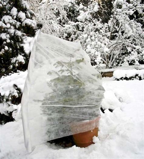 But it is a good way to reduce deer damage provided. Garden Hacks: 10 Genius Ideas to Keep Plants Warm in ...