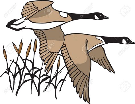 Flying Geese Drawing At Getdrawings Free Download