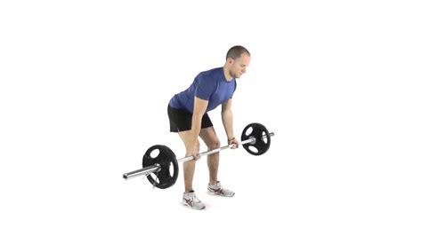 Barbell Bent Over Row Supination Grip Youtube