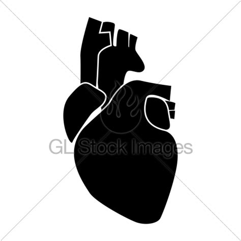 Human Heart Silhouette At Getdrawings Free Download