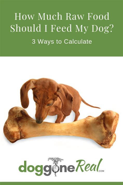 Around 4 to 5 months of age, they should start eating 3 times a day. How Much Raw Food Should I Feed My Dog? - 3 Ways to Calculate