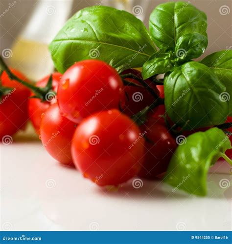 Tomatoes With Basil Stock Image Image Of Healthy Diet 9544255