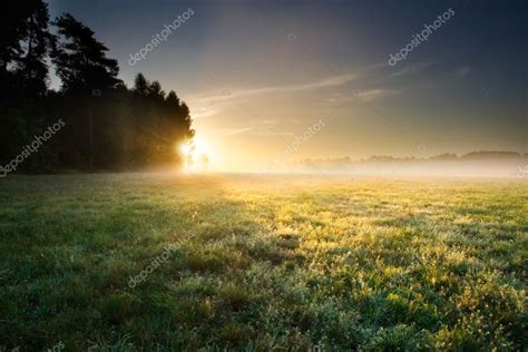 Foggy Meadow Sunrise — Stock Photo © Milosz 67300085
