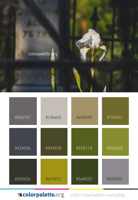 Dove Gray Color Palette Ideas