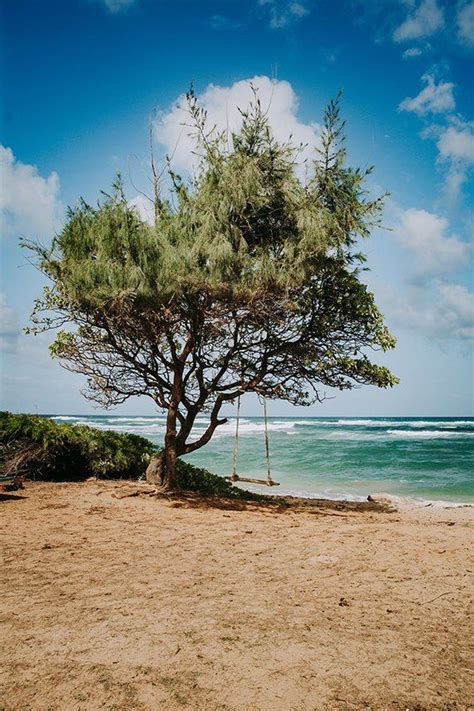 Kauai Beach Ocean Tree Rope Swing Hawaii Art Kauai Fine Etsy Hawaii