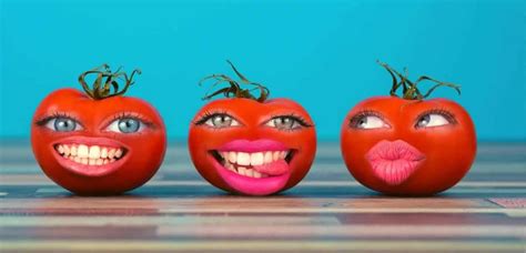 Top 174 Tomato Funny Sayings