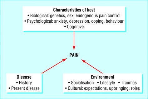 Management Of Pain The Bmj