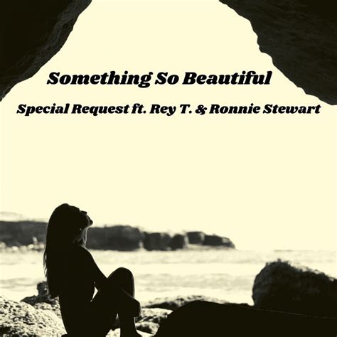 ‎something so beautiful feat rey t and ronnie stewart single album by special request