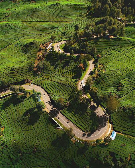 Tetapi juga ada yang lupa kata sandi instagram dan masih. Kebun Teh Rancabali, Bandung - VIApendaki