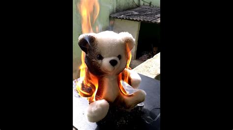 burning teddy bear 2023 youtube