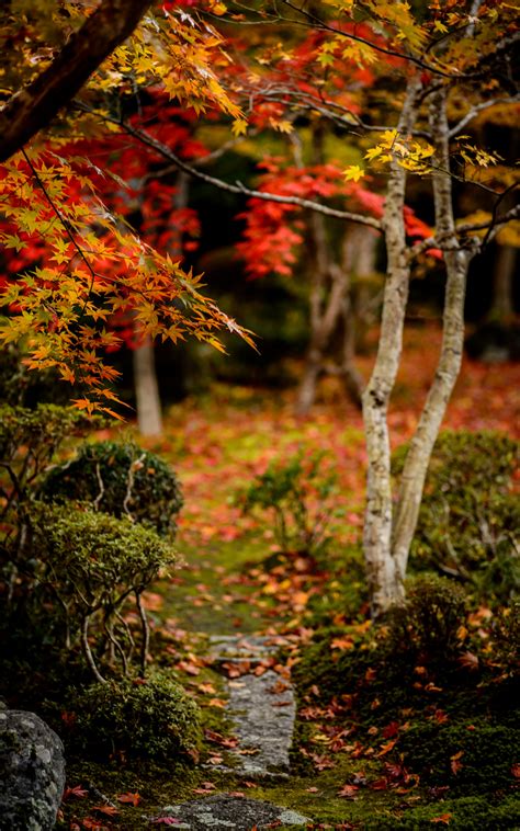 Jeffrey Friedls Blog More Japanese Garden Desktop Backgrounds From