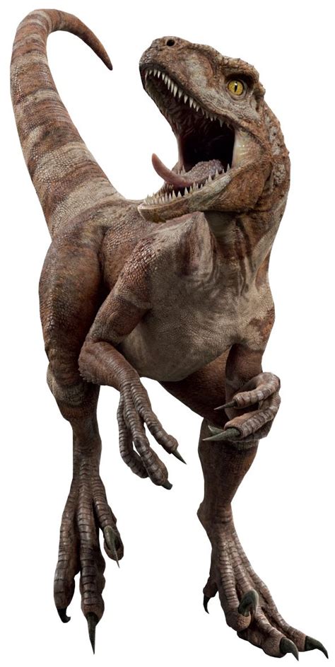 Red Is An Atrociraptor Debuting In Jurassic World Dominion By 2022