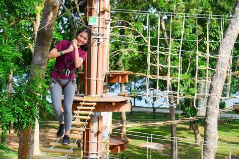 Zipline Experience In Forest Adventure Klook Singapore