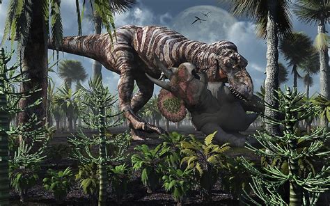 The King Of Killers Tyrannosaurus Rex Kills A Triceratops As Its Next