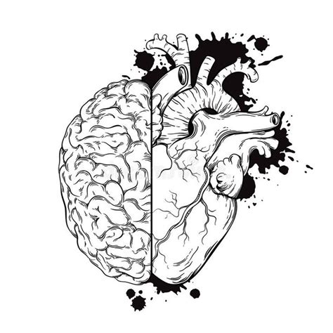 Hand Drawn Line Art Human Brain And Heart Halfs Grunge Sketch Ink