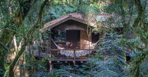 7 Casas Na árvore Pelo Brasil Para Se Isolar Em Meio à Natureza