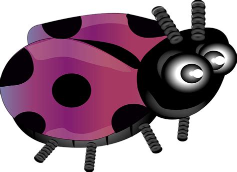 Purple Ladybug Clipart Free Download Transparent Png Creazilla