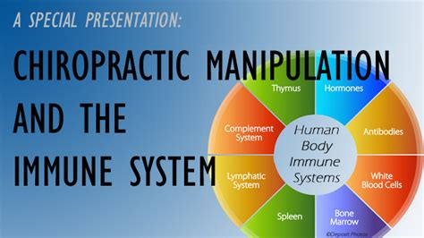 live webinar chiropractic manipulation and the immune system cox technic