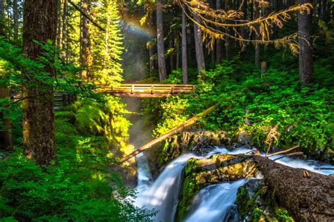 Ultimate Guide To Sol Duc Falls Trail In Washington For 2021 Hiking