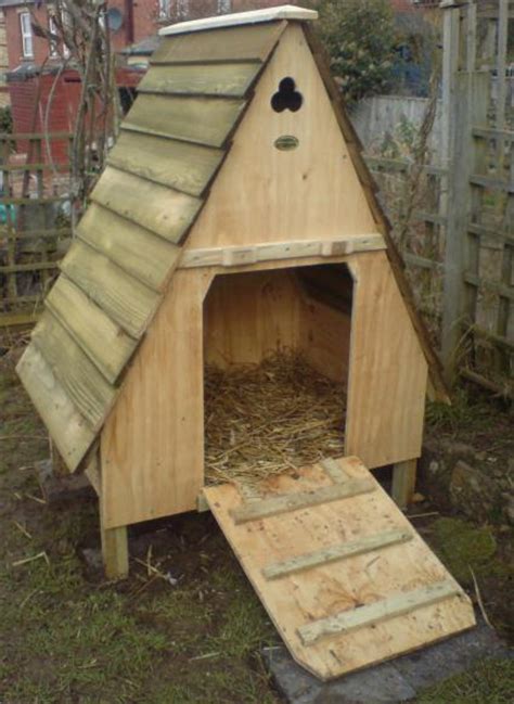 Our ducks have been kept near our chickens since they were ducklings. Image result for floating duck house plans | Pets. Their ...