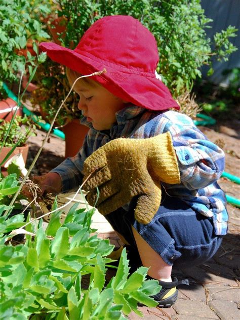 Herb Gardens For Children Gardening Know How