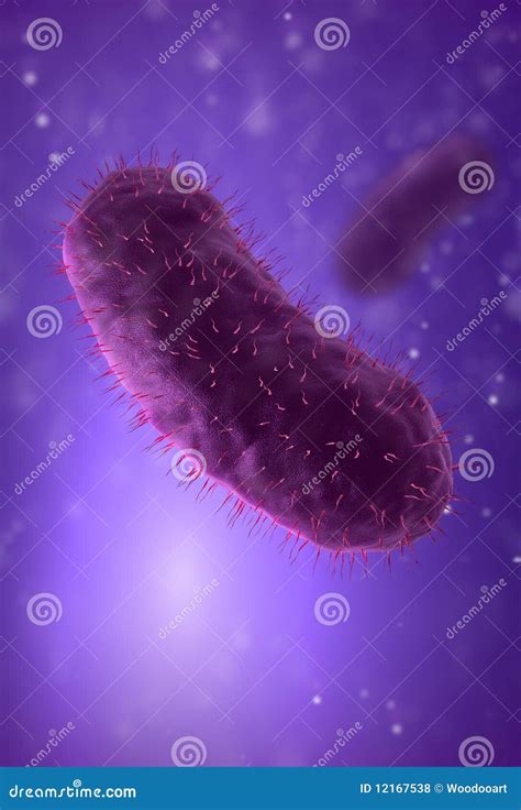 Bacillus Bacteria Closeup Stock Illustration Illustration Of Human