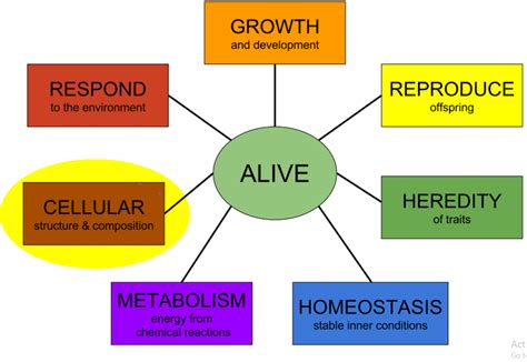 Eight Characteristics of Life in Biology