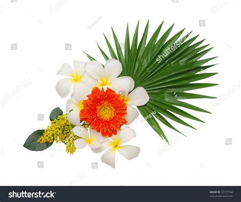 Explore and download more than million+ free png transparent images. The Good-Luck Flower Bouquet Stock Photo 59177734 ...