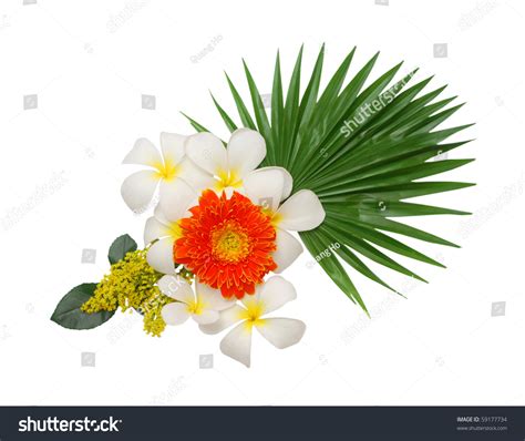 Image good luck flowers 1897 good luck. The Good-Luck Flower Bouquet Stock Photo 59177734 ...