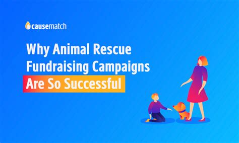 Why Animal Rescue Fundraising Campaigns Are So Successful Causematch Blog