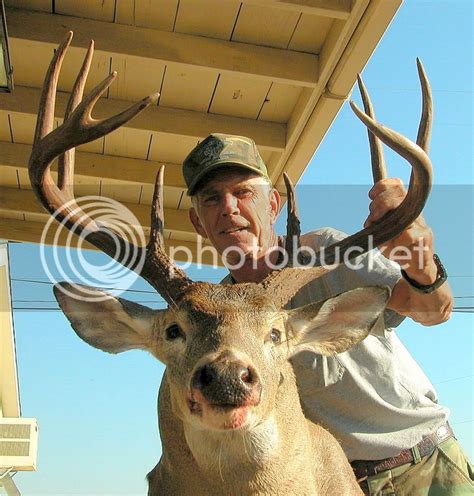 Some Of My Deer Photos And The Camp Bullis Buck 268 28 Pts