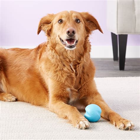 West Paw Zogoflex Jive Tough Ball Dog Toy Aqua Blue Small