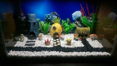 Pin By Michelle Pham On Fish Inspiration Fish Tank Themes Cool Fish
