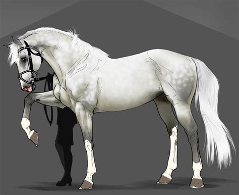 Pin By Pt K On Equidae Horse Animation Horses Horse Drawings