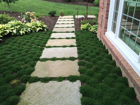 Maybe you would like to learn more about one of these? 30 Moss Garden Ideas: Graffiti, Statue, Ornament Designs