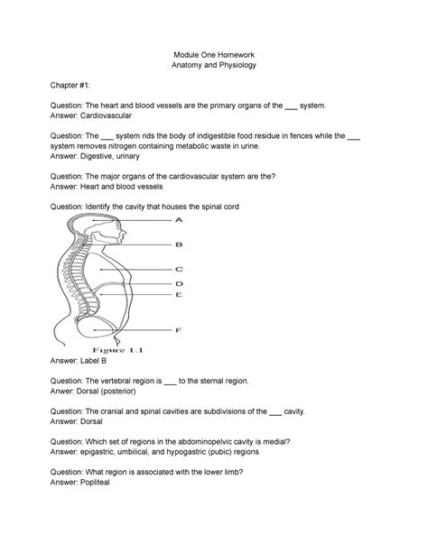 Chapter 1 Anatomy Homework Module One Homework Anatomy And Physiology