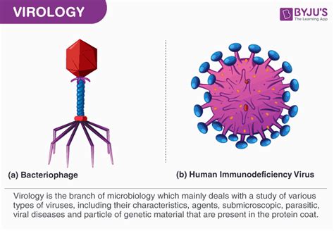 A Detailed Overview Of Virology