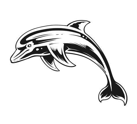 16 Dolphin Clipart Black And White Png Alade