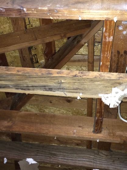 But a higher ceiling may mean higher all you need to know about vaulted ceilings. Vaulted Ceiling - Insulating & Removal Of Ceiling Joists ...