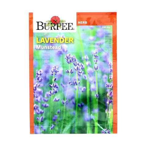 Burpee Lavender Munstead Herb Seeds Shop Seeds At H E B