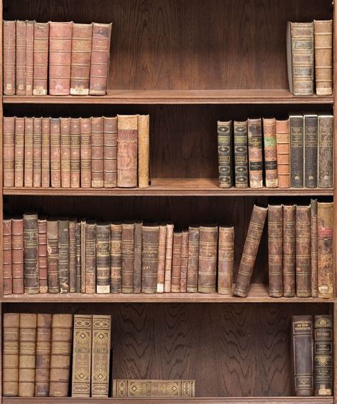 Bookshelf Wallpaper • Realistic Library Design • Milton And King