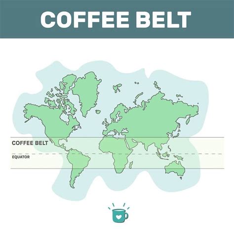 Top 20 Coffee Producing Countries
