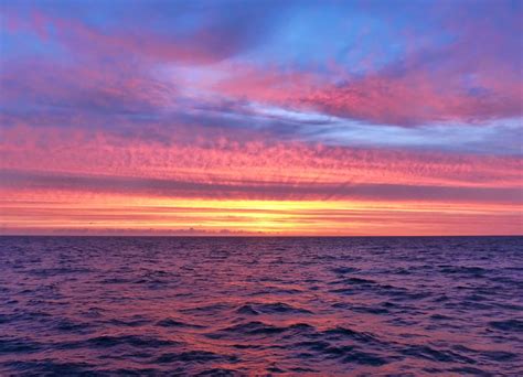 Gale's Photo and Birding Blog: Sunrise over the Atlantic