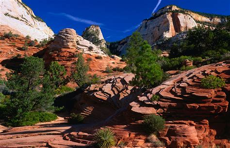Zion National Park Travel Utah Usa North America Lonely Planet